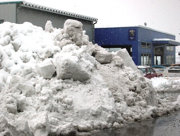 大雪でもばっちり営業してます