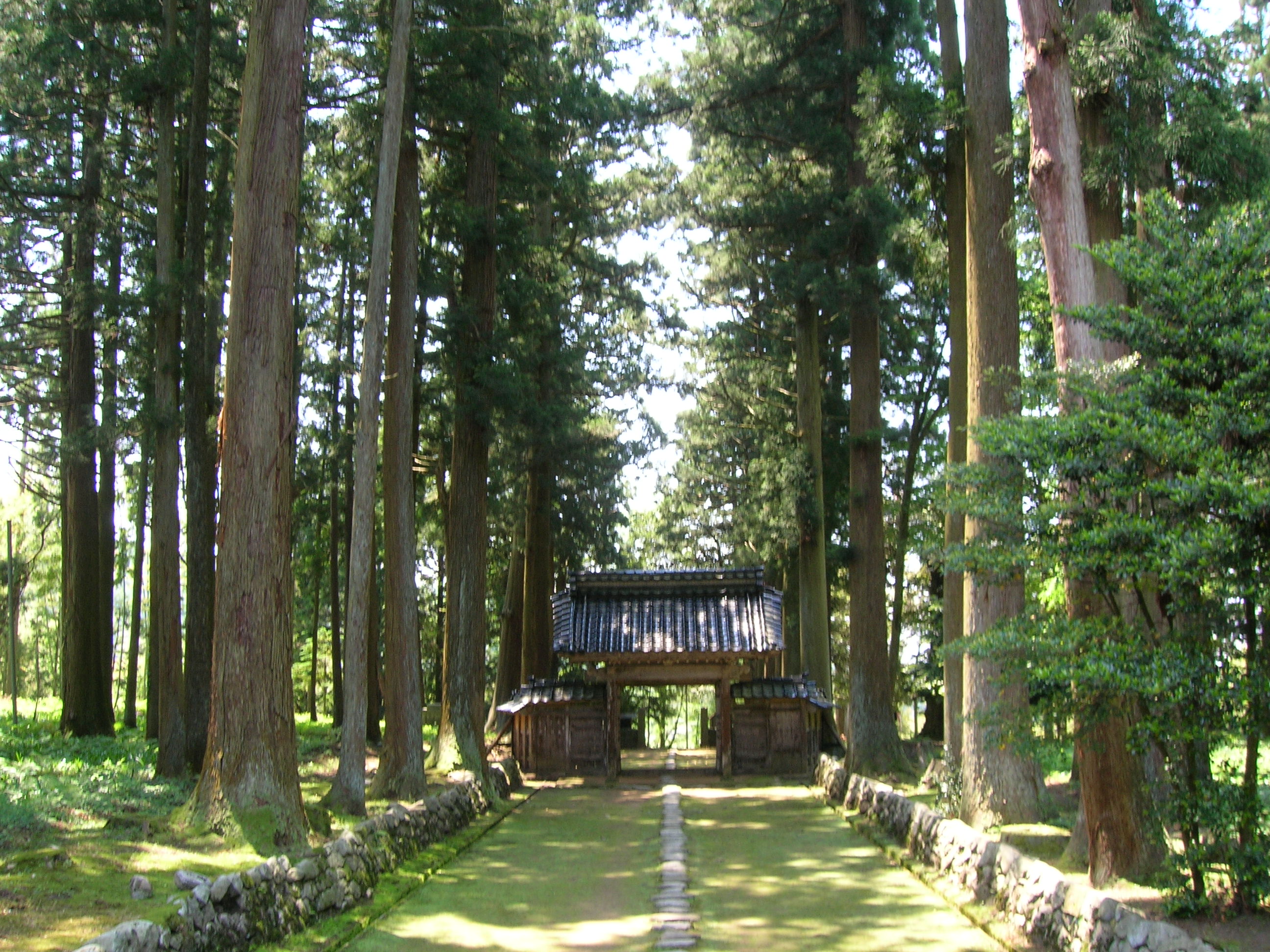 富山の穴場的なスポット案内
