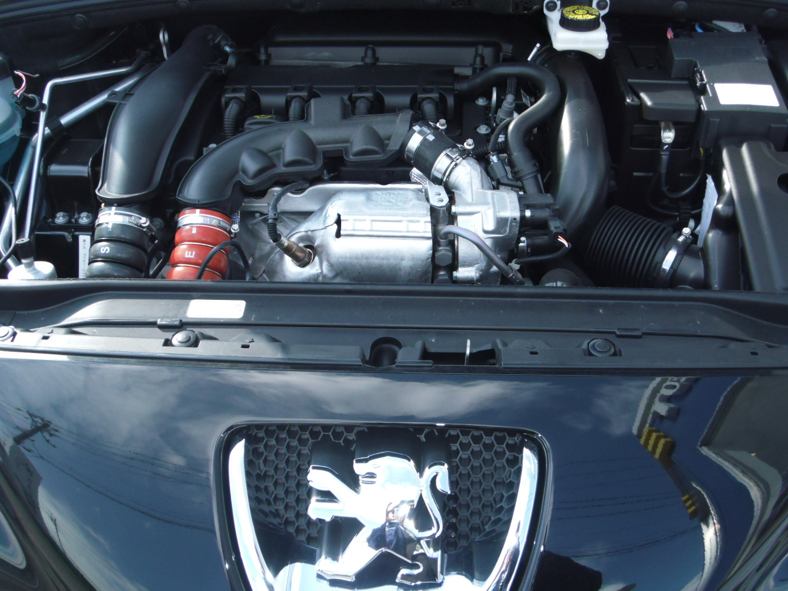 新試乗車３０８Premiumのご案内
