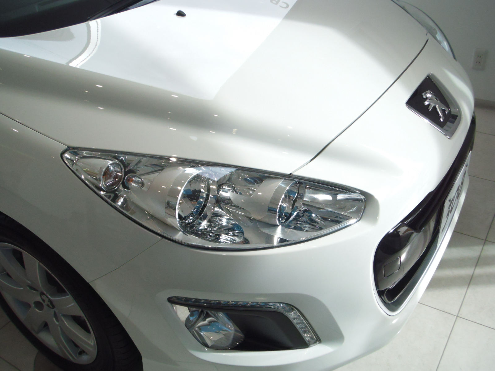 新展示車入荷のご案内