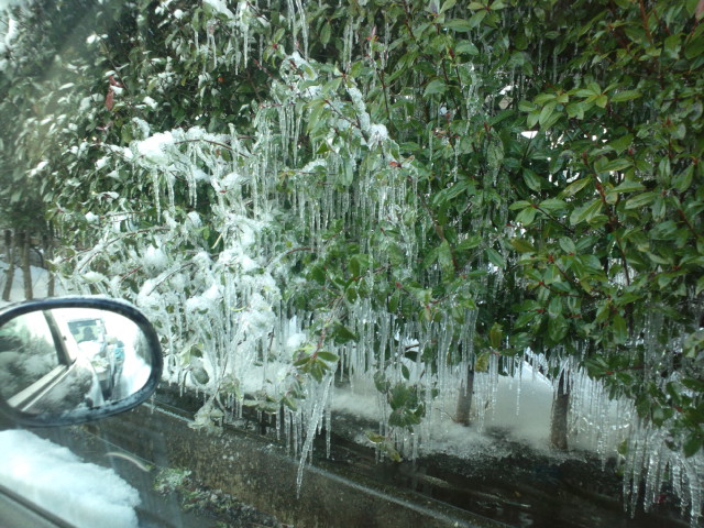 雪も峠を超え