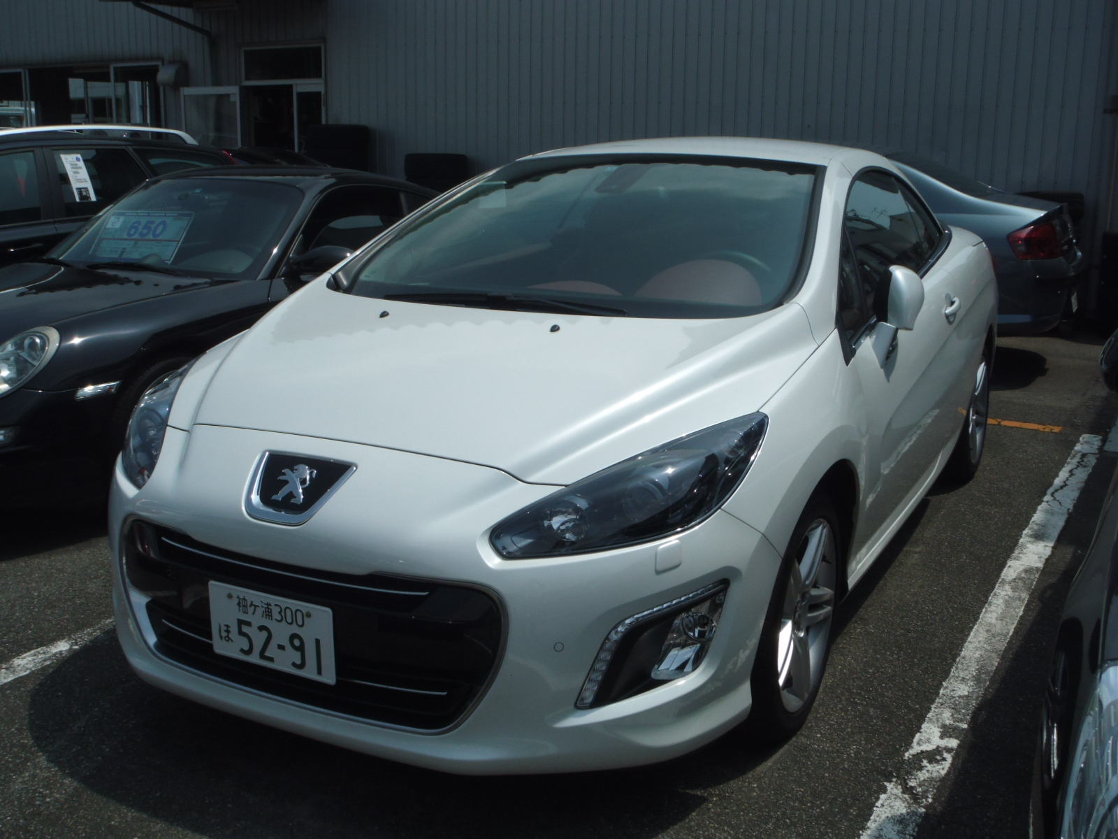 試乗車のご案内