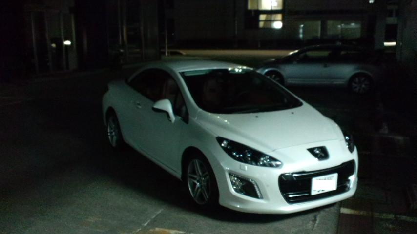 308CC Griffe