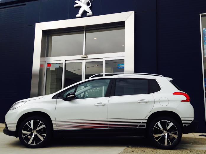NEW！試乗車登場！