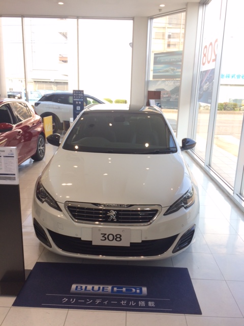 308SW　GT　～相反する要素を高次元で両立～