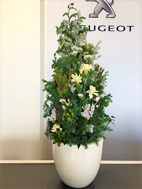 今週のお花🌼