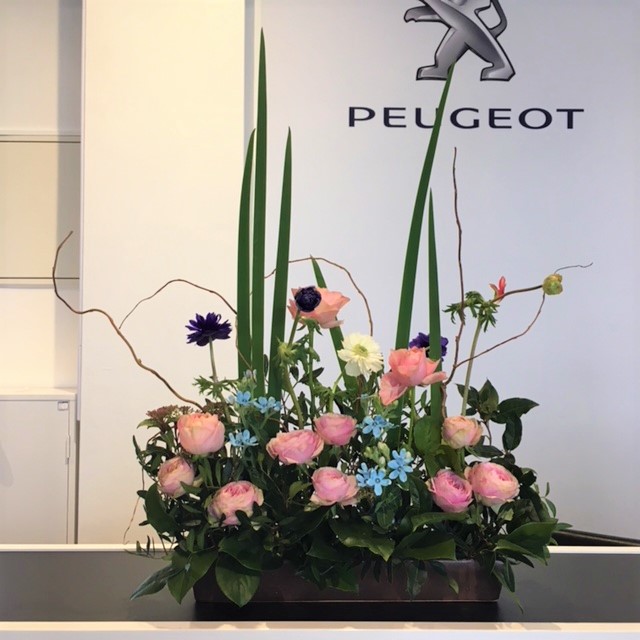 ◇今週のお花◇