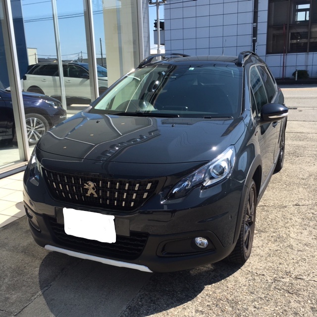 ◇ 2008試乗車のご紹介 ◇