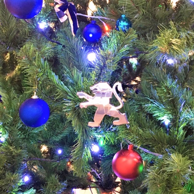 12月になりました♪