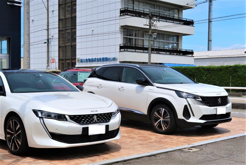 試乗車揃ってます！
