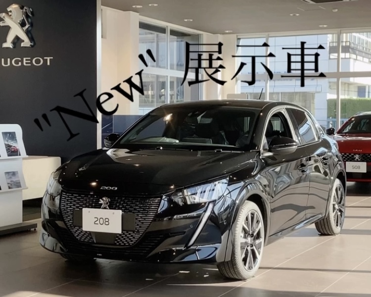 展示車入れ替えました！