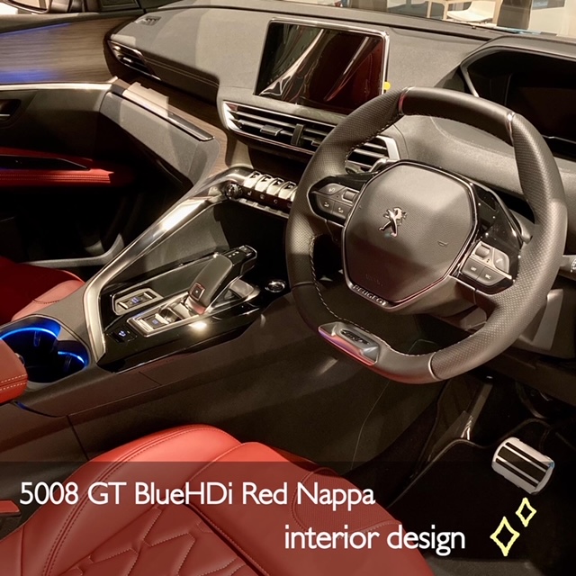 5008 Red Nappa interior design