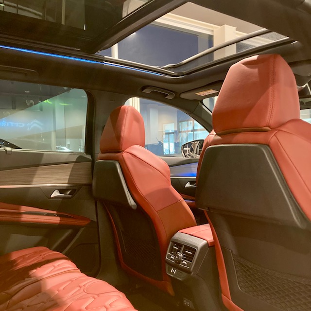 5008 Red Nappa interior design