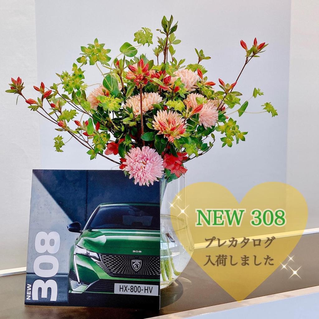 308プレカタログ