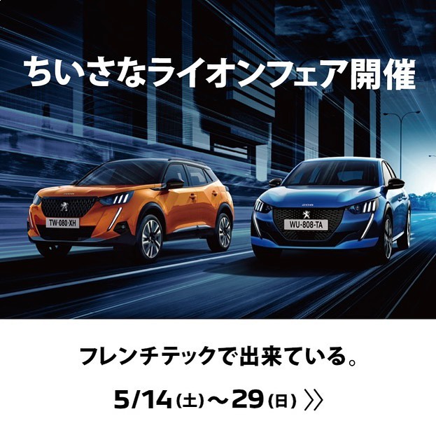 ちいさなライオンフェア