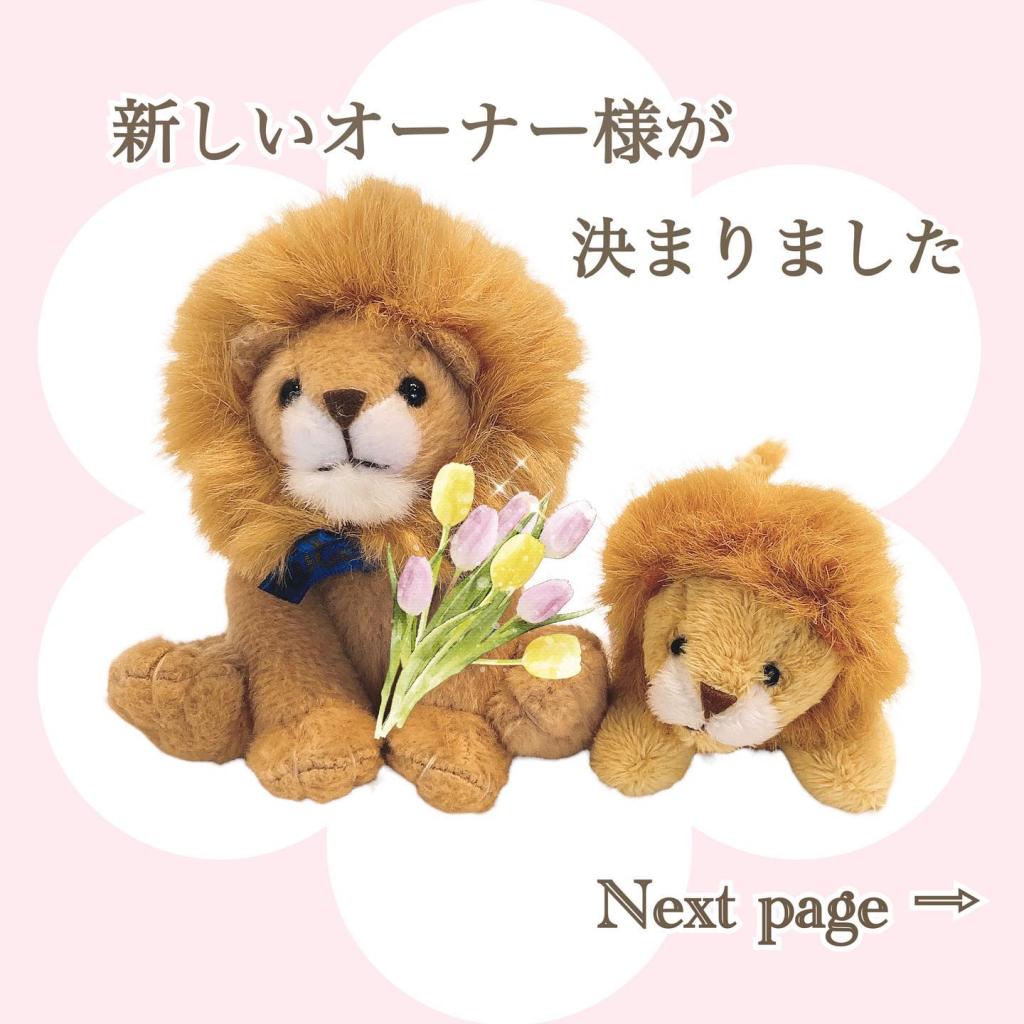congratulation
