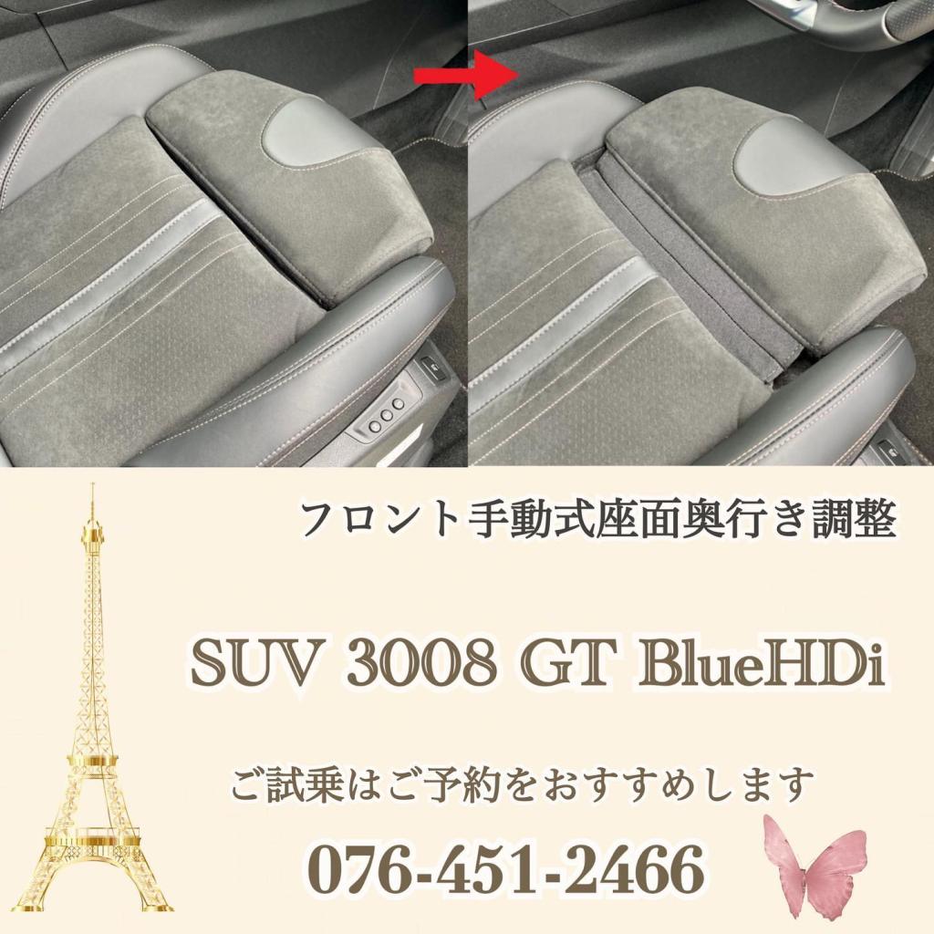 3008GT interior