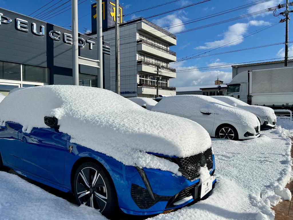 今朝の展示場の様子⛄