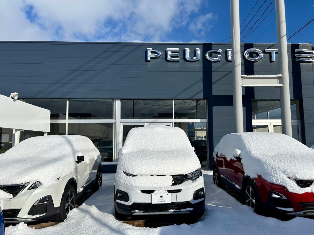 今朝の展示場の様子⛄