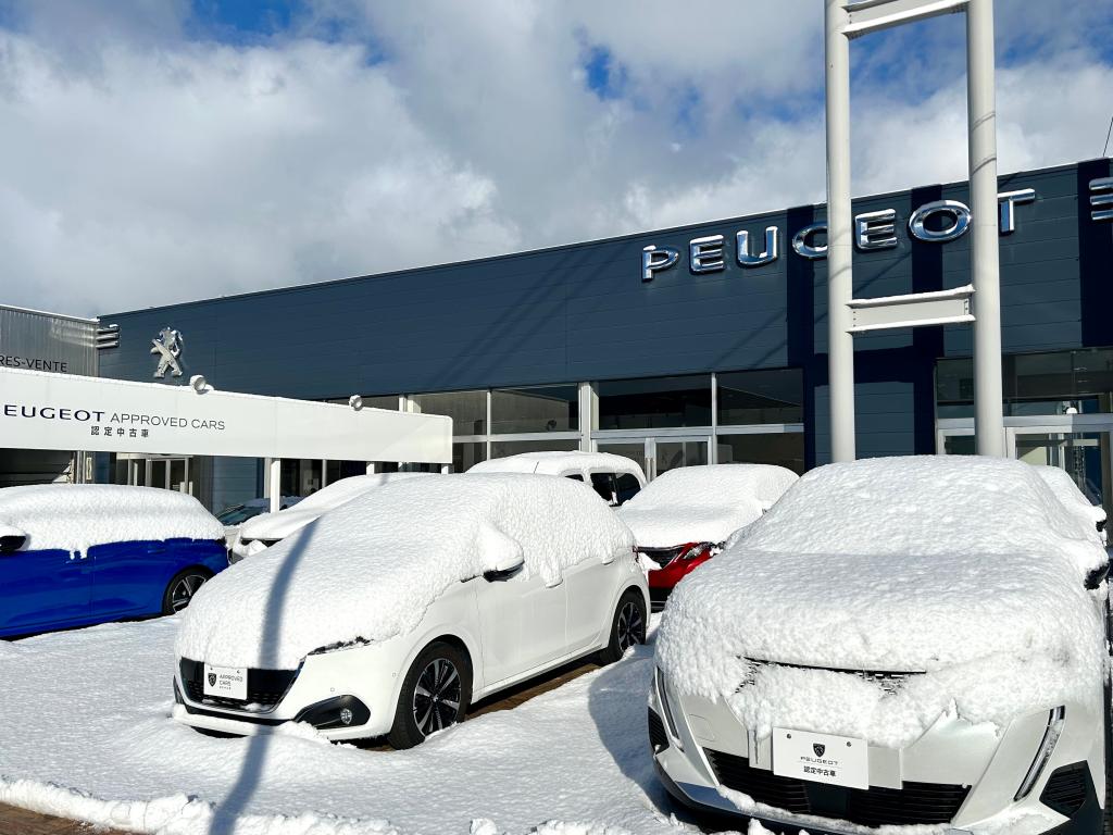 今朝の展示場の様子⛄