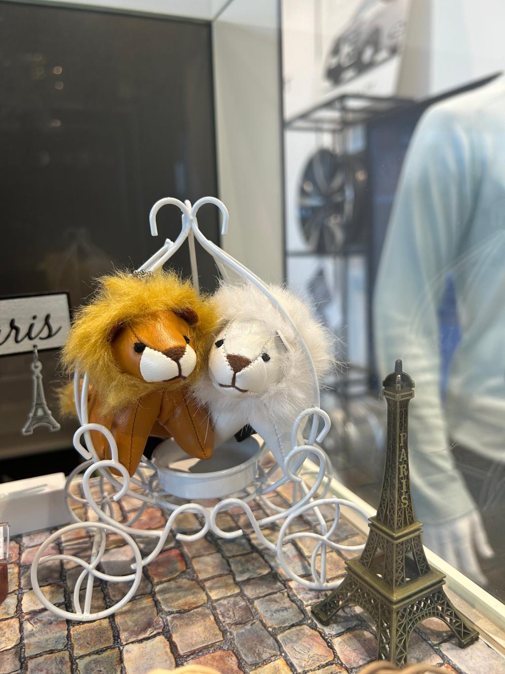 8月10日は【世界ライオンの日】🦁🌎