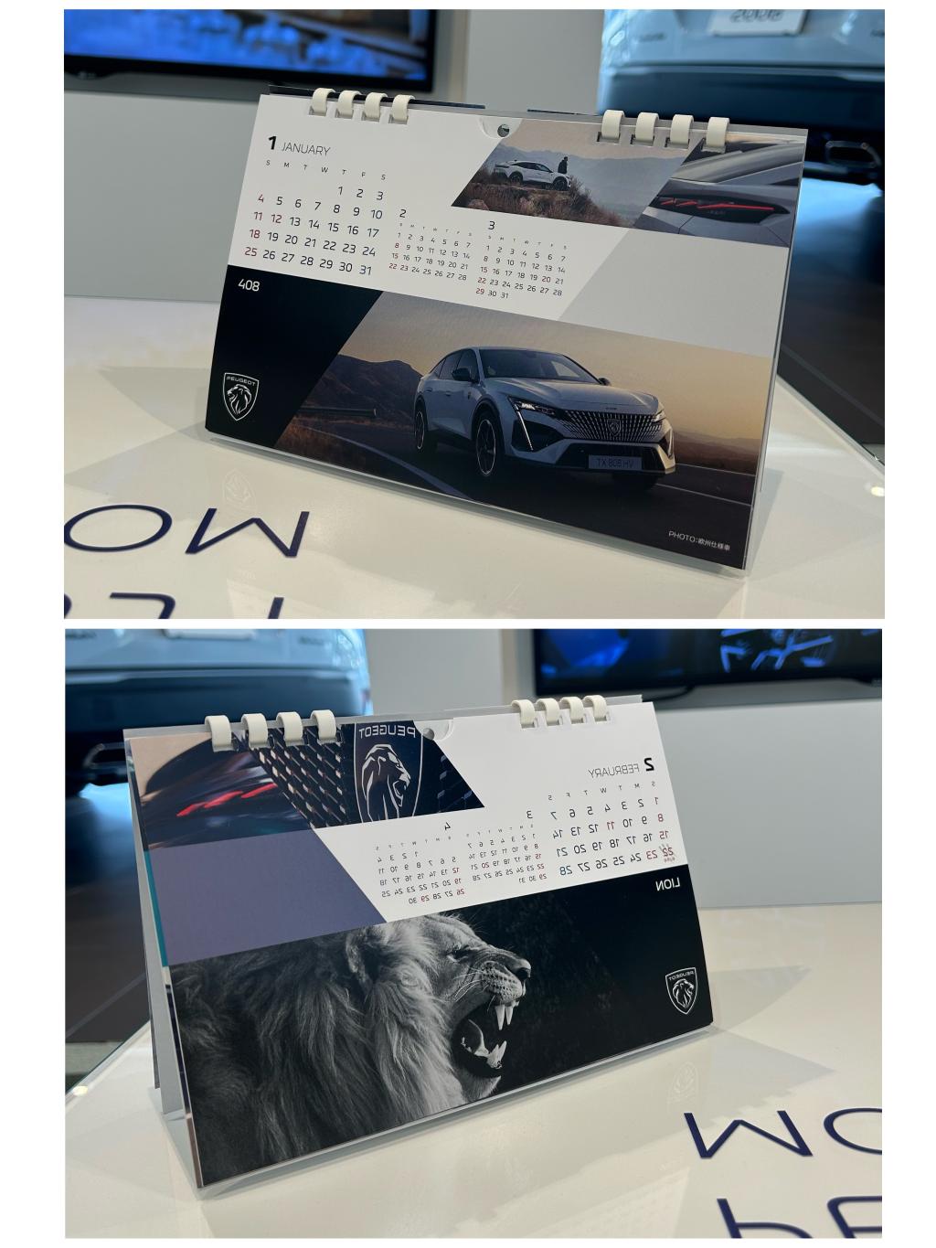 LION WINTER FAIR　12/6～🦁❄