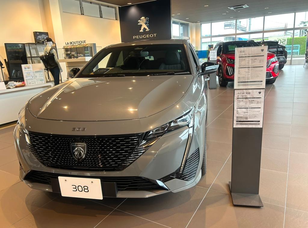 皆さま体調はいかがでしょうか？🤧🍀