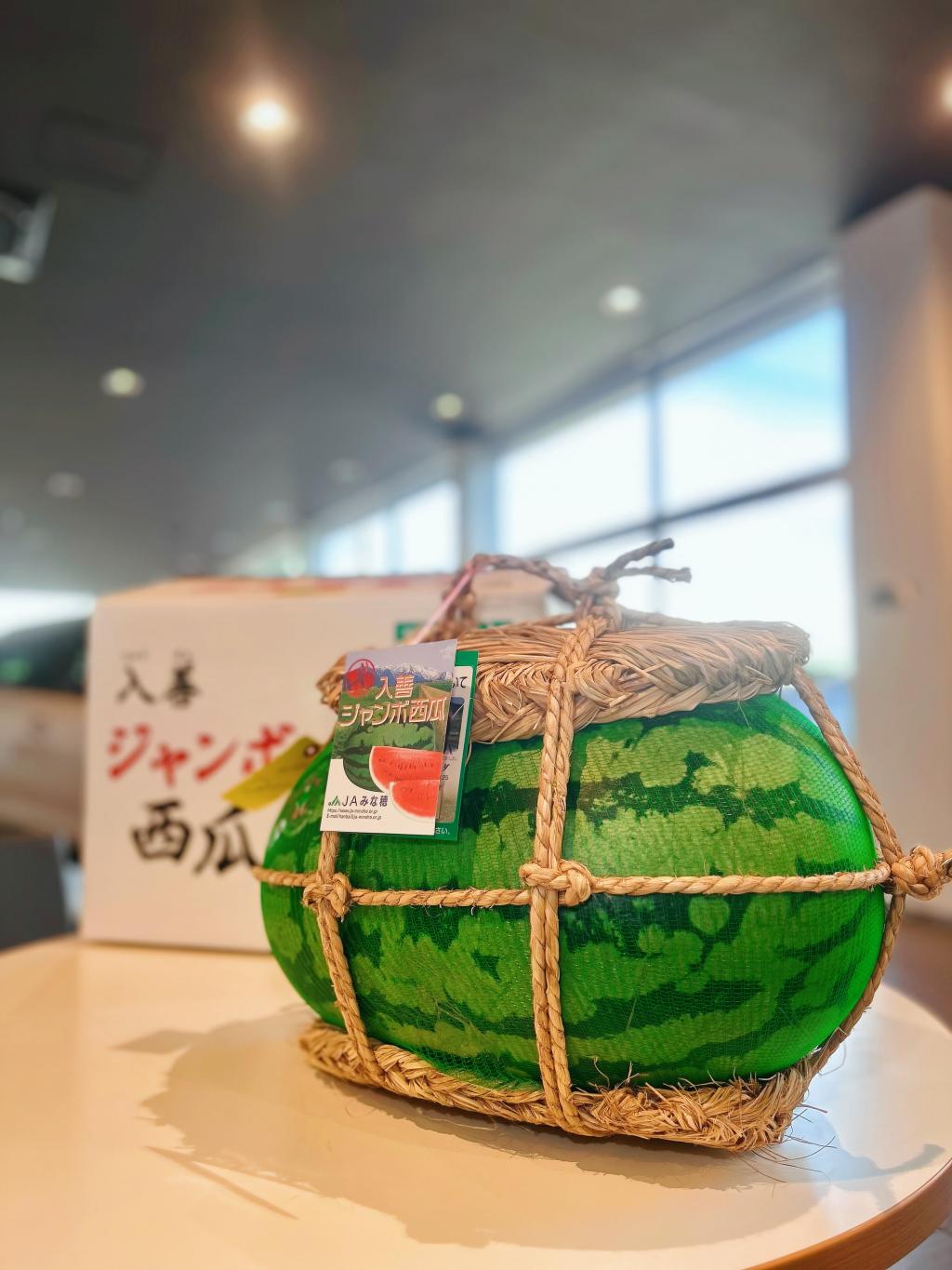 ジャンボスイカいただきました🍉